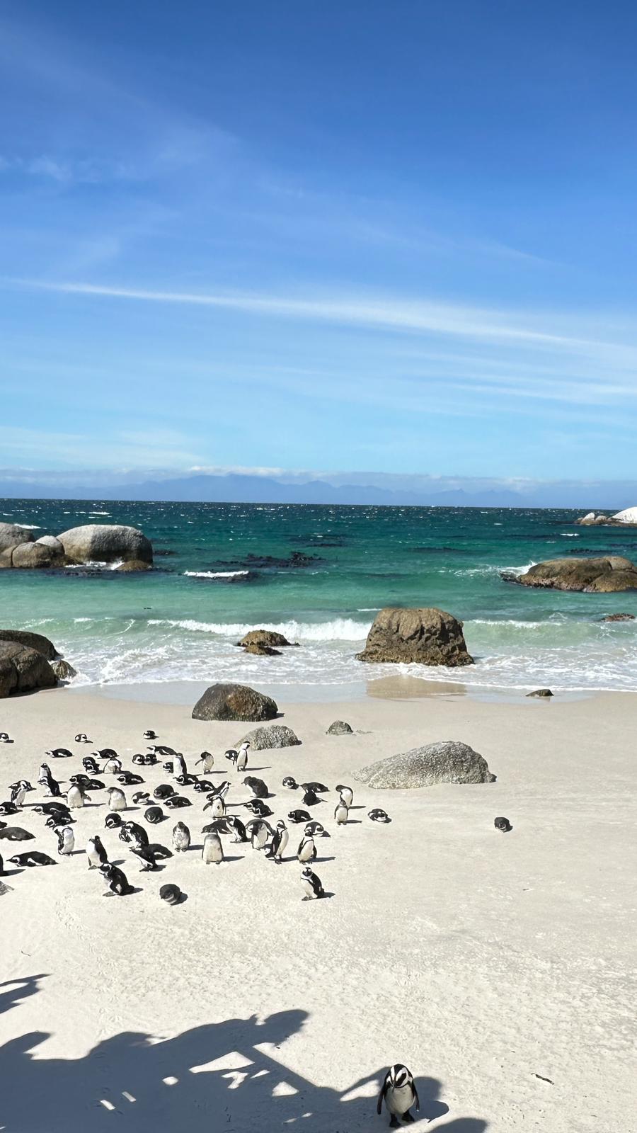 Boulders Beach - Beach View 4